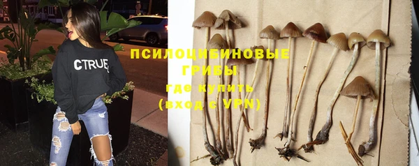 кокаин колумбия Заводоуковск