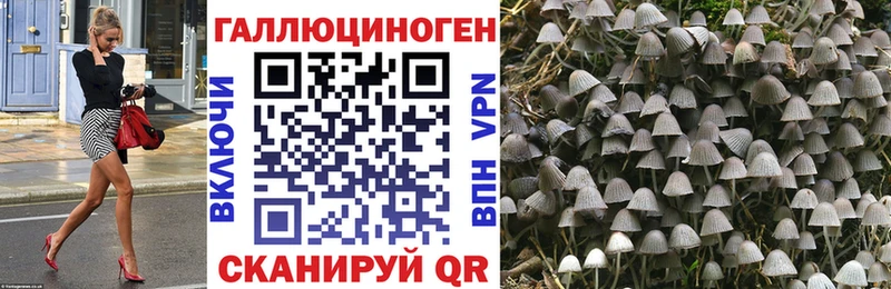 Галлюциногенные грибы GOLDEN TEACHER  Купить  Брянск 