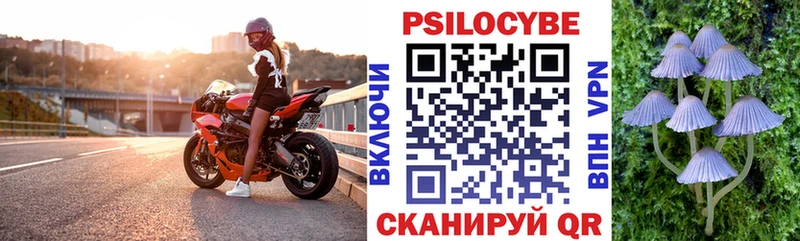 Псилоцибиновые грибы прущие грибы Брянск