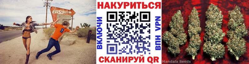 Купить где  Брянск  Бошки марихуана гибрид 